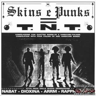 Skins E Punks = T.N.T. LP