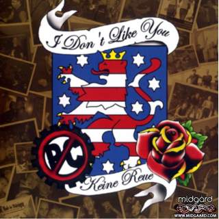 I don‘t like you – Keine Reue! LP