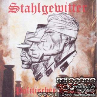 Stahlgewitter - Politischer soldat